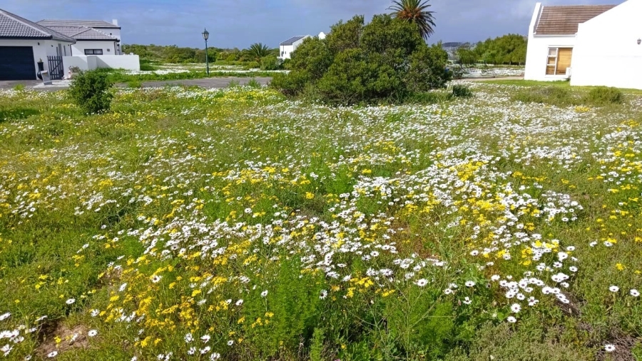 0 Bedroom Property for Sale in Shelley Point Western Cape